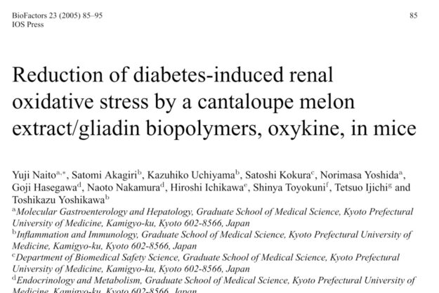 Reduction of diabetes-induced renal oxidative stress by a cantaloupe melon extract gliadin biopolymers, oxykine, in mice