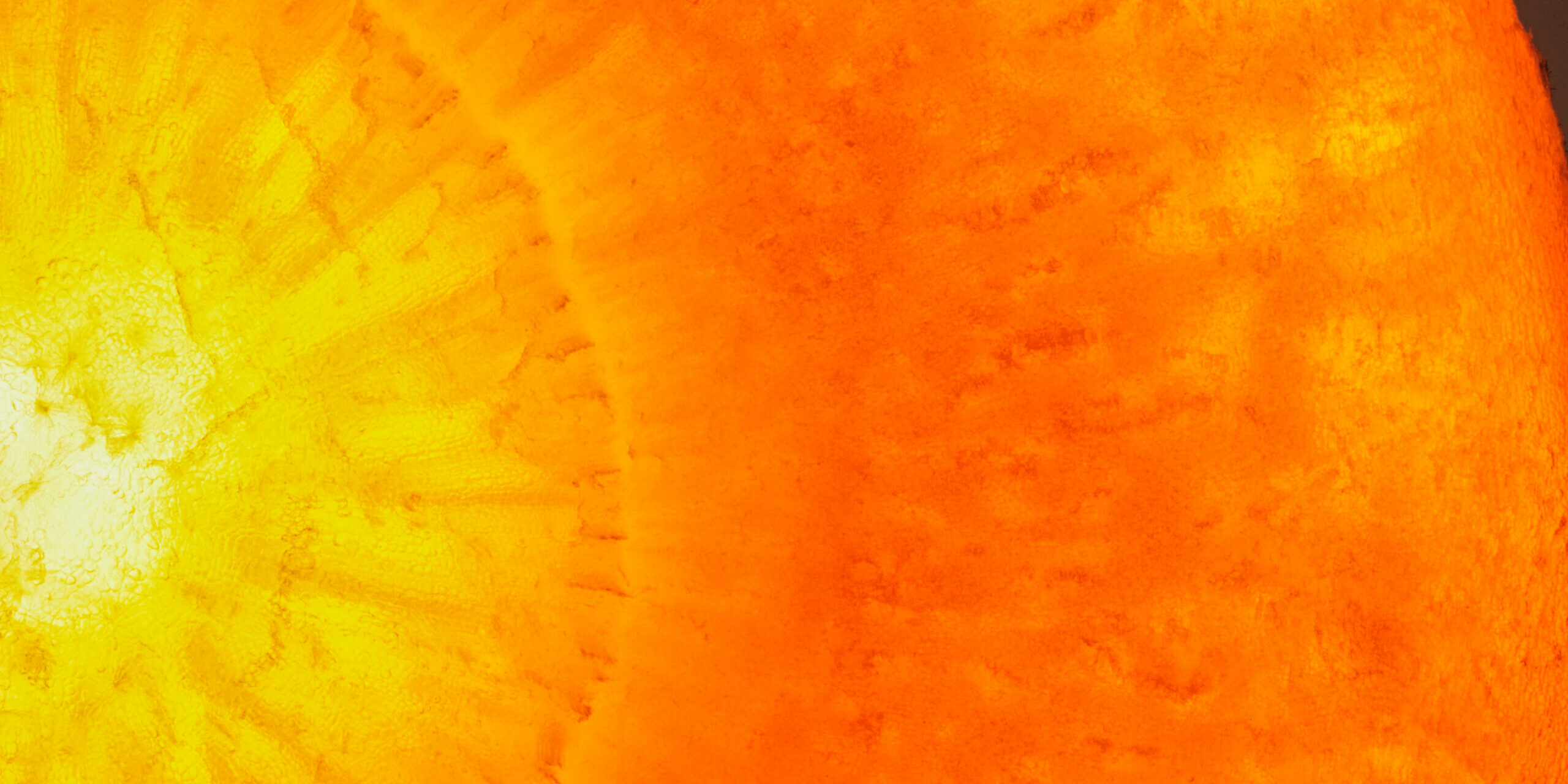 macro-melon macro-melon