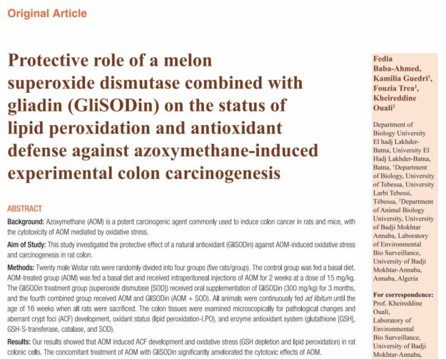 Protective role of a melon superoxide dismutase combined with gliadin (GliSODin) on the status of lipid peroxidation and antioxidant defense against azoxymethane-induced experimental colon carcinogenesis