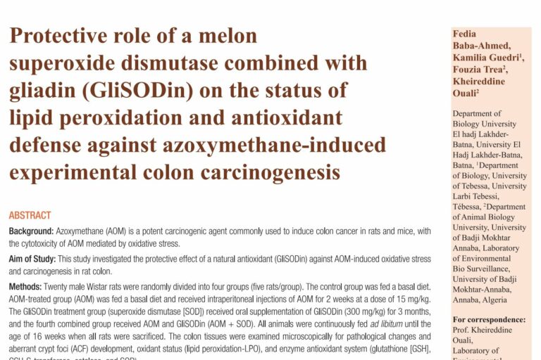 Protective role of a melon superoxide dismutase combined with gliadin (GliSODin) on the status of lipid peroxidation and antioxidant defense against azoxymethane-induced experimental colon carcinogenesis Protective role of a melon superoxide dismutase combined with gliadin (GliSODin) on the status of lipid peroxidation and antioxidant defense against azoxymethane-induced experimental colon carcinogenesis