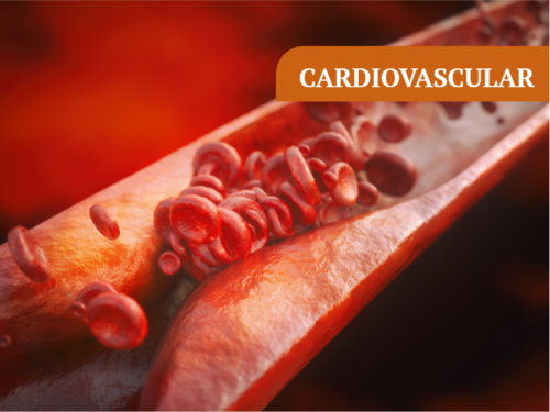 cardiovascular